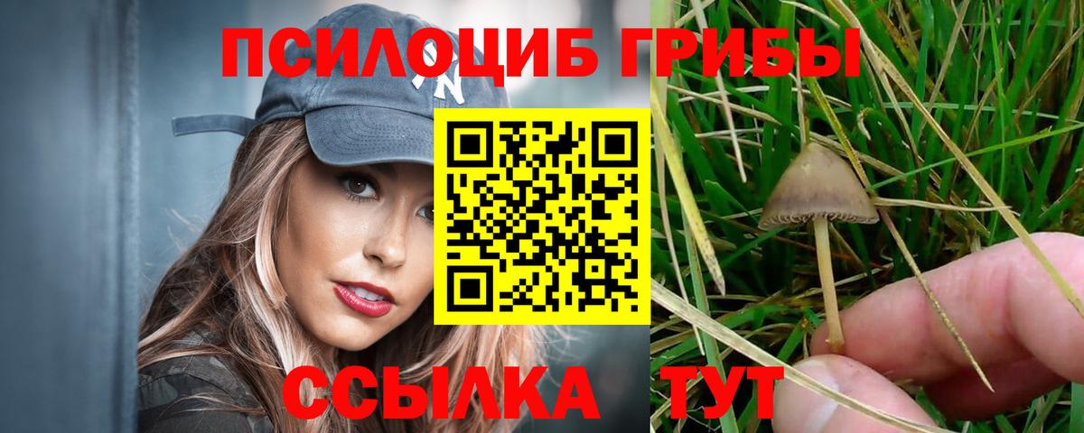 Псилоцибиновые грибы ЛСД Дюртюли